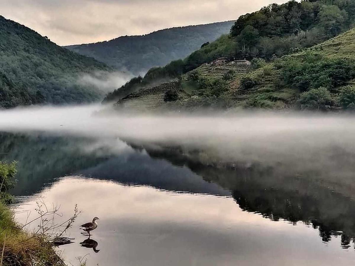 Casa Das Xacias Ribeira Sacra A Airoa  Ngoại thất bức ảnh