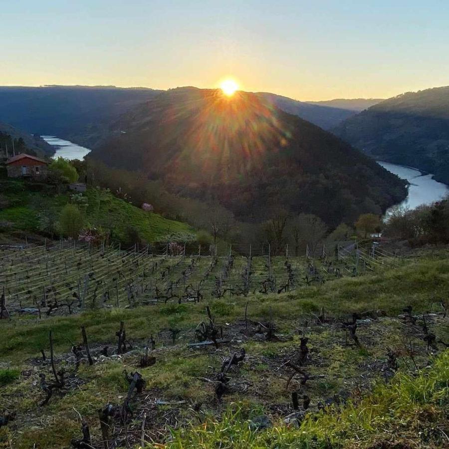 Casa Das Xacias Ribeira Sacra A Airoa  Ngoại thất bức ảnh