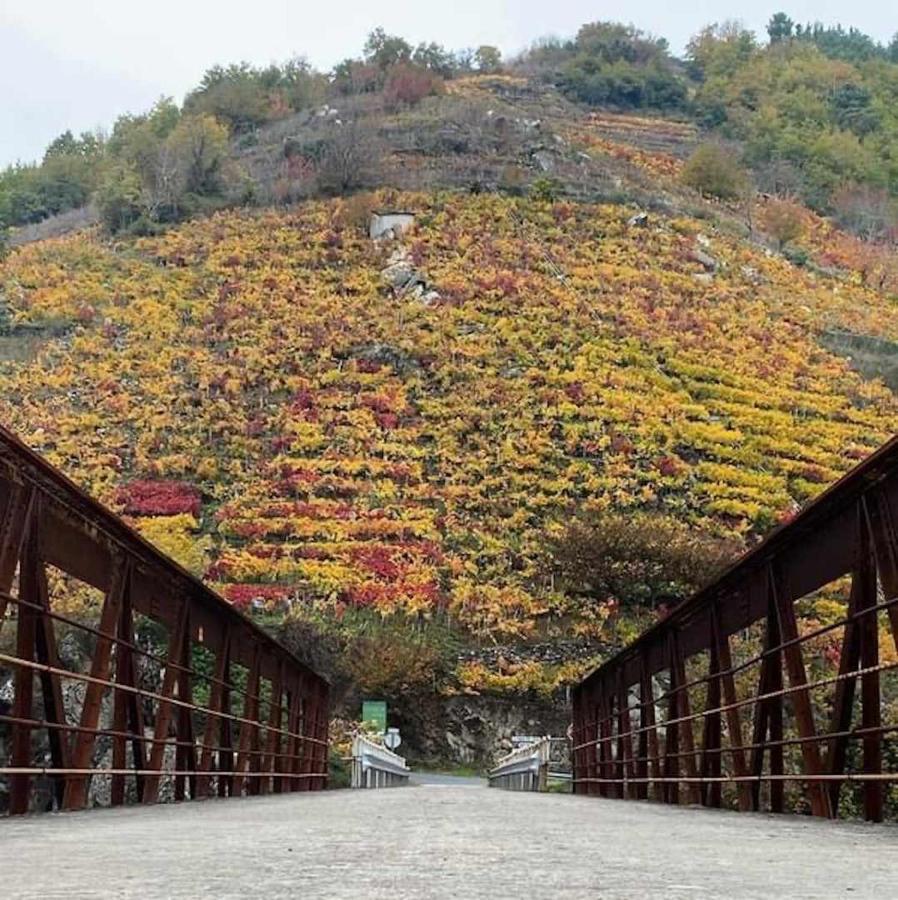 Casa Das Xacias Ribeira Sacra A Airoa  Ngoại thất bức ảnh